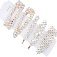 Accessory/Hi Fashion Girl Hair clip (Set)