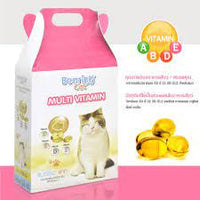 Bearing Cat Multi Vitamin 28g